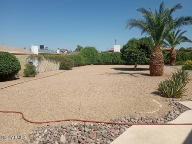 4240 Back yard 2
