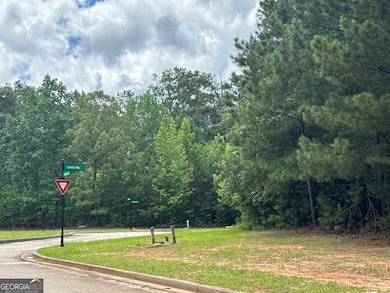 4309 Giverney Blvd, Fairburn, GA 30213 - photo 3