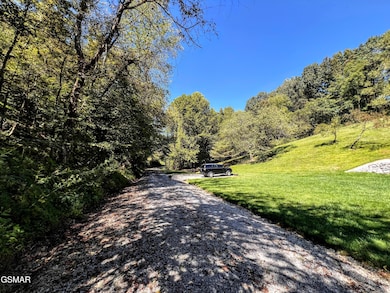 Driveway view from house