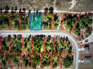 6866 N Sandborn Loop, Citrus Springs, FL 34433 - photo 2