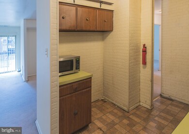 2305 Greenery Ln unit 1013, Silver Spring, MD 20906 - photo 4