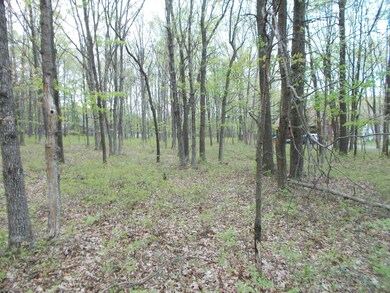 190 Brian Ln, Effort, PA 18330 - photo 4