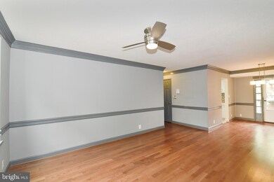 3043 S Columbus St unit B2, Arlington, VA 22206 - photo 4