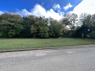 TBA Reba McEntire Ln, Denison, TX 75020 - photo 5