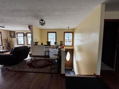 313 N Matteson St, Bronson, MI 49028 - photo 5