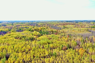 NA Na, Skelton Township, MN 55707 - photo 4