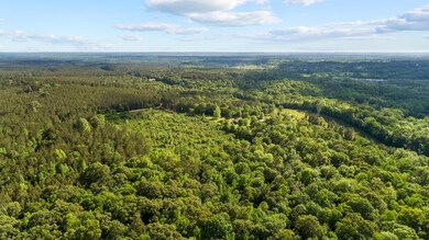 317 Hidden Leaf Trail, Nacogdoches, TX 75964 - photo 2