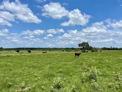 16620 Penick Rd, Waller, TX 77484 - photo 3