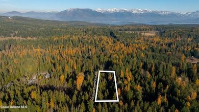 9816 Bottle Bay Rd, Sagle, ID 83860 - photo 3