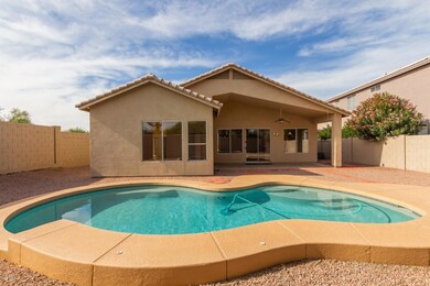 Exterior Rear with Sparkling Pool