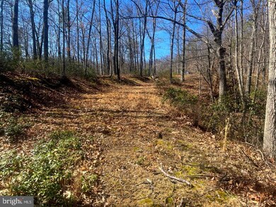 0 Tract 10 Lost River Bluffs unit WVHD2001350, Mathias, WV 26812 - photo 5