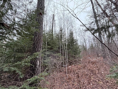 XXD Pine Peak Rd, Lutsen, MN 55612 - photo 3
