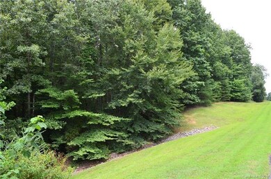 Wooded lot for tons of Privacy