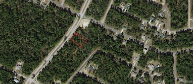 1/2 acre, red parcel outline