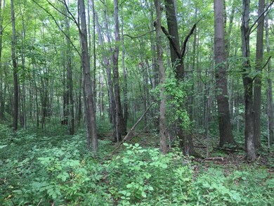 6941 Youngren Rd, Chikaming Township, MI - photo 3