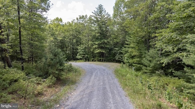 TBD Birds Nest Rd, Hinton, VA 22831 - photo 7