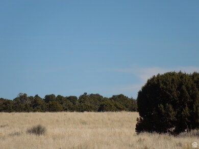 20 W Sunrise Country Rd unit 20, Monticello, UT 84535 - photo 6