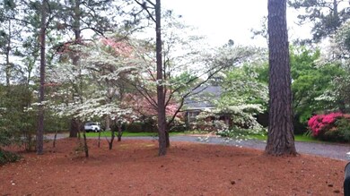 IMG_0101