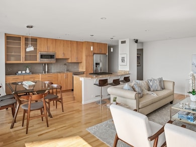 Lakeshore Drive Condo unit 9L, Chicago, IL 60657 - photo 7