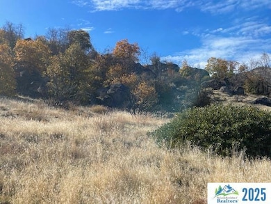 0000 Honey View Ln, Janesville, CA 96114 - photo 7