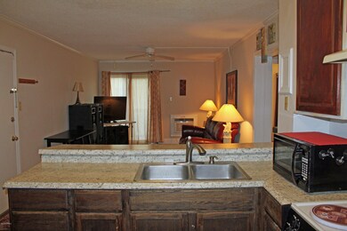 Kitchen and Living