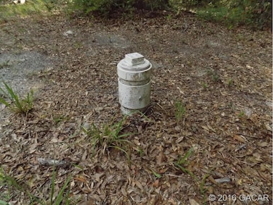 4318 284th Terrace, Branford, FL 32008 - photo 7