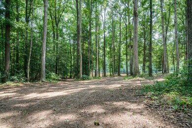 0 Lakeview Rd, Toisnot, NC 27822 - photo 2