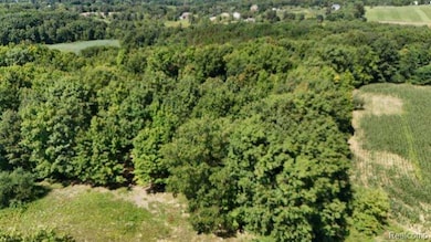 Parcel 4 Sycamore St, Dryden Township, MI 48428 - photo 2