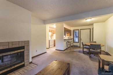 1555 Shadow Run Frontage unit D-206, Steamboat Springs, CO 80487 - photo 4