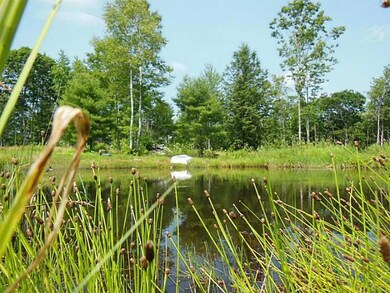 Other. Farm Pond