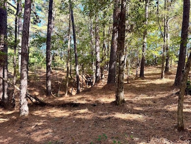 TBD County Road 3568, Woodville, TX 75979 - photo 3