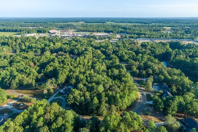 4 Drone View (3 of 9)