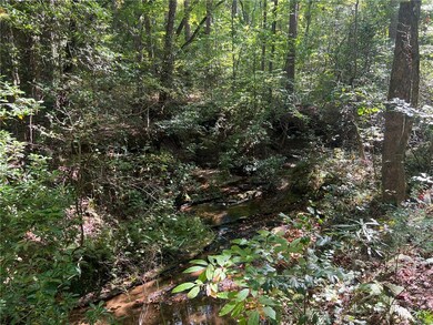 Tract 1-B C H 66, Tamassee, SC 29686 - photo 3