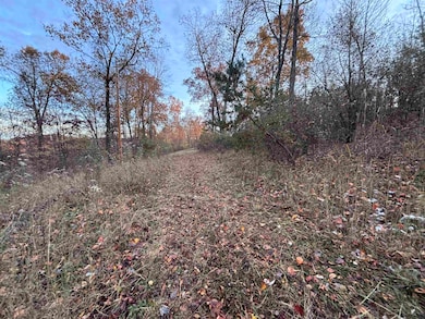 1142 Roscoe Davis Cemetery Rd, Genoa, WV 25517 - photo 6