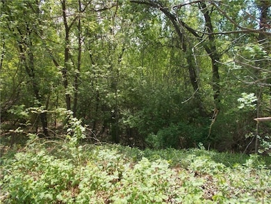 Lots 1-4 Tainter St NE, Menomonie, WI 54751 - photo 2