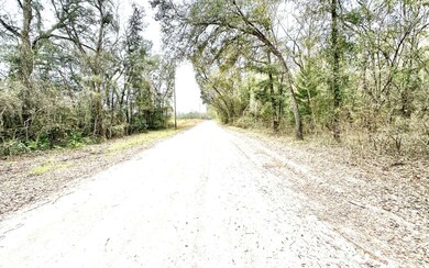 10 NE Tansy Road Lot 29, Mayo, FL 32066 - photo 4