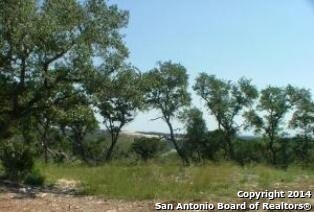 8626 Terra Dale, San Antonio, TX 78255 - photo 5