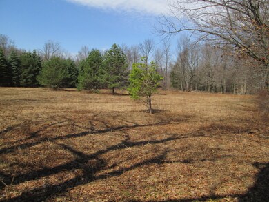 0 Davitt Rd unit PWB15584, Honesdale, PA 18431 - photo 6