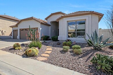 Low Maintenance Front Yard