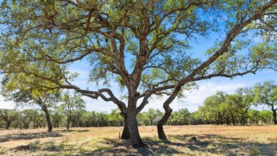 View of undeveloped land