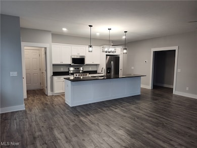 1337 Lake Vue Dr, Roaming Shores, OH 44085 - photo 5