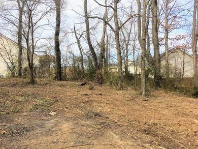 151 E Highland Rd, Johnson City, TN 37601 - photo 5