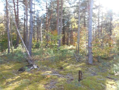 Lot / Land