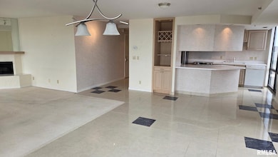 125 SW Jefferson Ave unit W20NE(B), Peoria, IL 61602 - photo 5