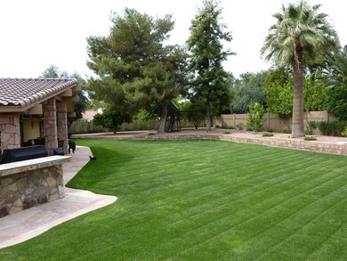 6 back yard