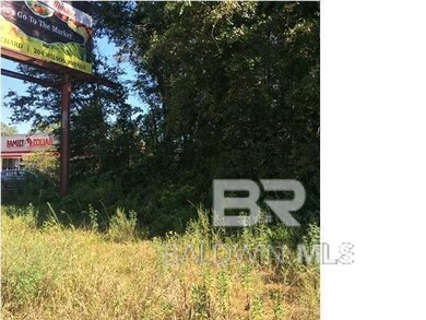 View of local wilderness