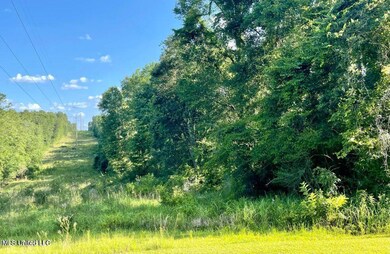 4.71 Ac September Ln, Lucedale, MS 39452 - photo 4