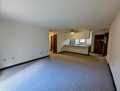 117 Stafford St unit 63, Charlton, MA 01507 - photo 4