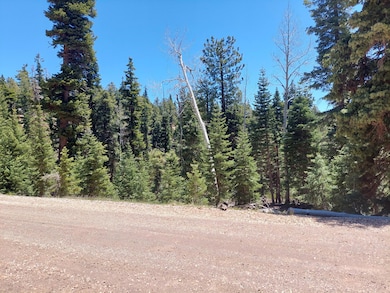 View of property from road.