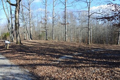 130 Johnny Bilbrey Ln, Cookeville, TN 38506 - photo 4